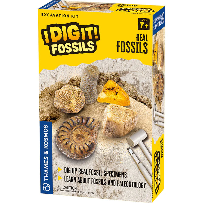 I Dig It! Fossil Excavation Kit